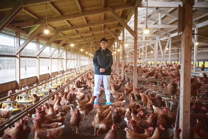 【九重】風與光穿過的高原上的生命恩賜。大分永續美食