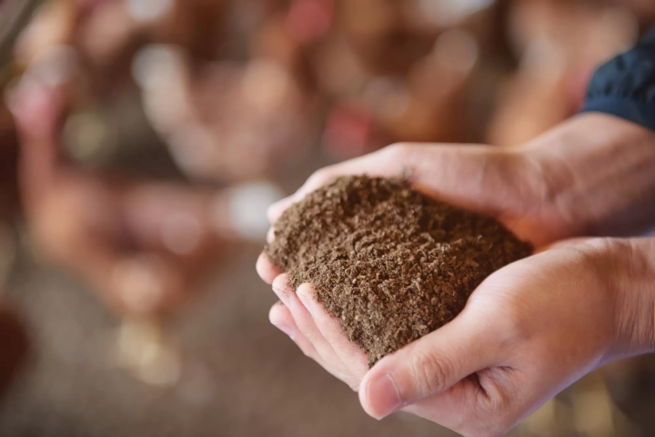 【九重】風與光穿過的高原上的生命恩賜。大分永續美食