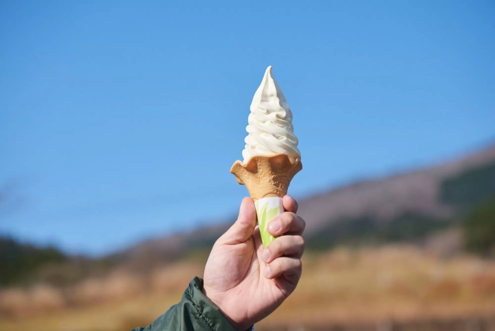 【九重】風與光穿過的高原上的生命恩賜。大分永續美食