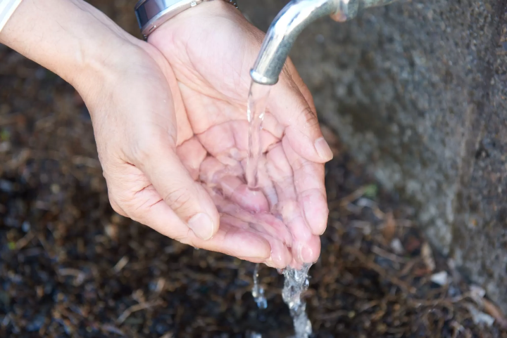 [Southern Oita Prefecture (Usuki and Saiki)] A journey through fermentation and tradition. Oita Sustainable Gastronomy