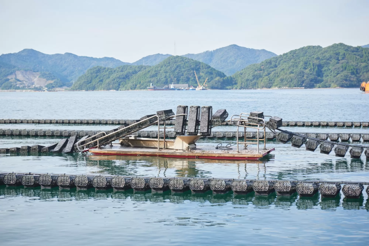 [Southern Oita Prefecture (Usuki and Saiki)] A journey through fermentation and tradition. Oita Sustainable Gastronomy