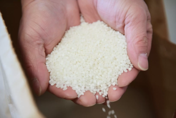 [Southern Oita Prefecture (Usuki and Saiki)] A journey through fermentation and tradition. Oita Sustainable Gastronomy