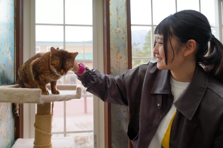 雨の日の「富士サファリパーク」の楽しみ方!