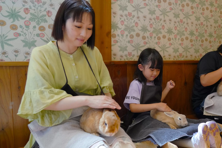 雨の日の「富士サファリパーク」の楽しみ方!