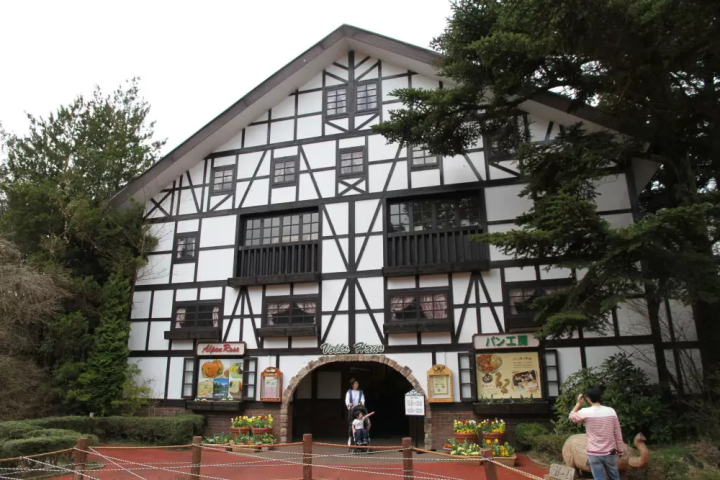 雨の日の「富士サファリパーク」の楽しみ方!