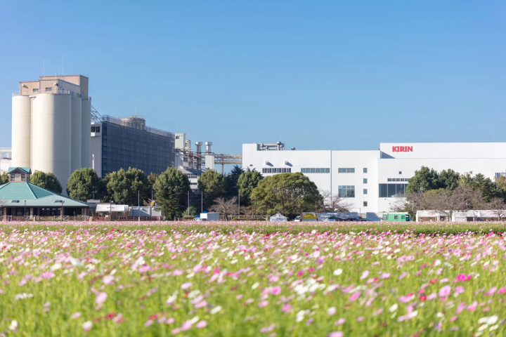 Picture courtesy of PIXTA 