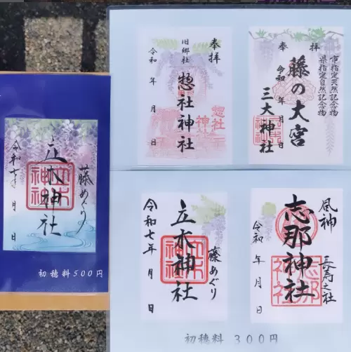 [ Kusatsu City Shiga Prefecture ] Spring isn't just about cherry blossoms! 4 recommended spots to see blooming wisteria