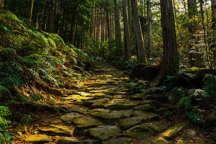 Walking the Sacred Sites of the Kii Mountains: An Inner Journey