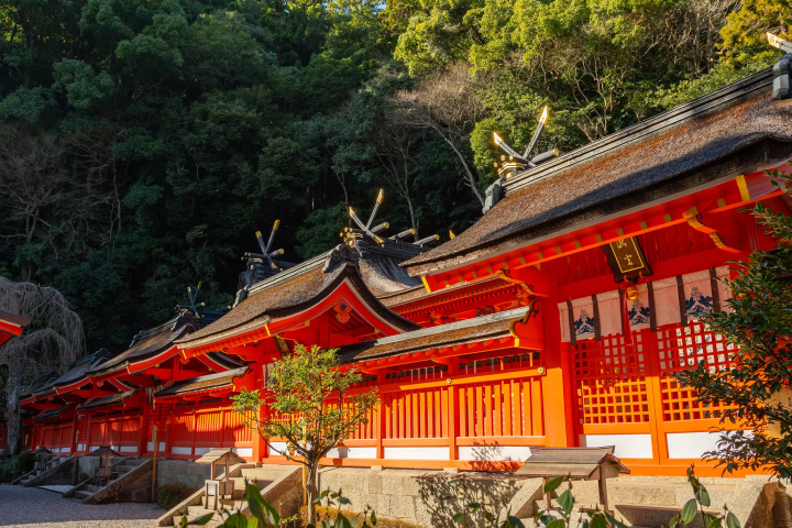 Walking the Sacred Sites of the Kii Mountains: An Inner Journey