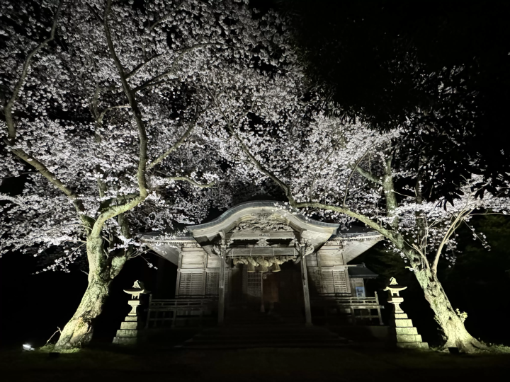 【2026年4月開催】島根県・西ノ島町の恒例イベント「国賀びらきフェスタ」を紹介