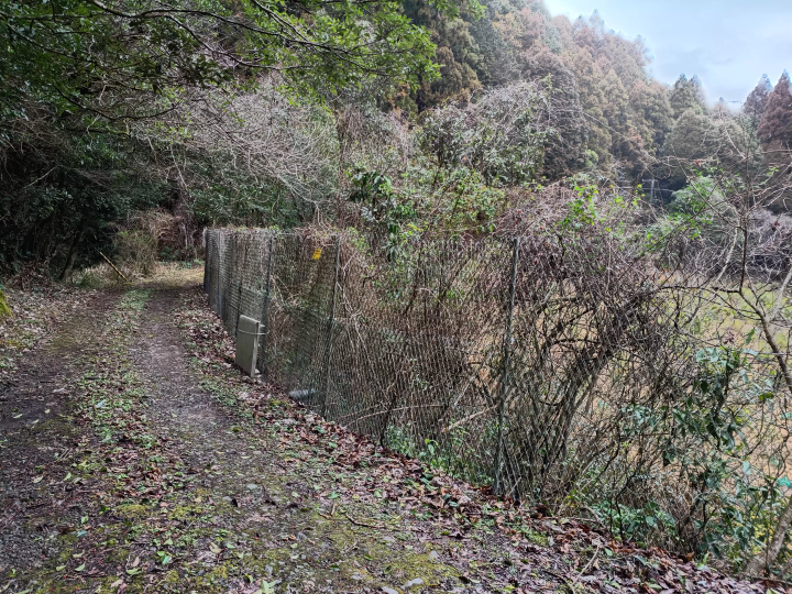 [ Tosashimizu City, Kochi Prefecture ] How to get to Izu Shrine and important points to note