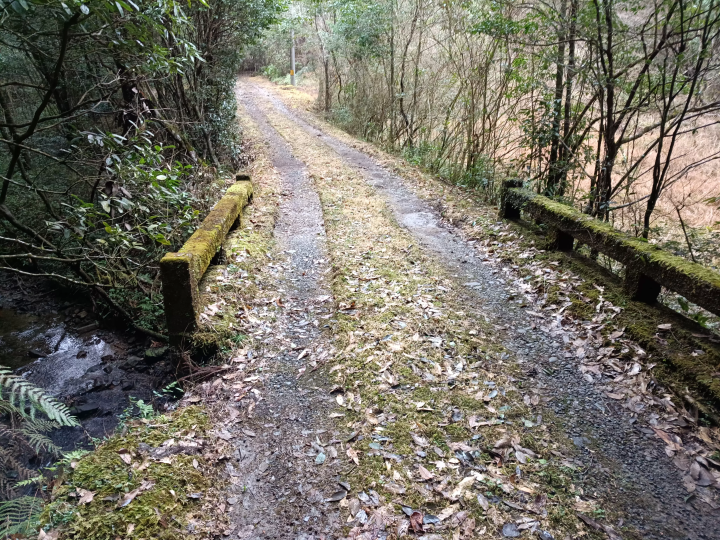 [ Tosashimizu City, Kochi Prefecture ] How to get to Izu Shrine and important points to note