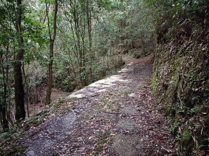 [ Tosashimizu City, Kochi Prefecture ] How to get to Izu Shrine and important points to note