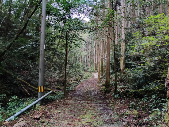 [ Tosashimizu City, Kochi Prefecture ] How to get to Izu Shrine and important points to note