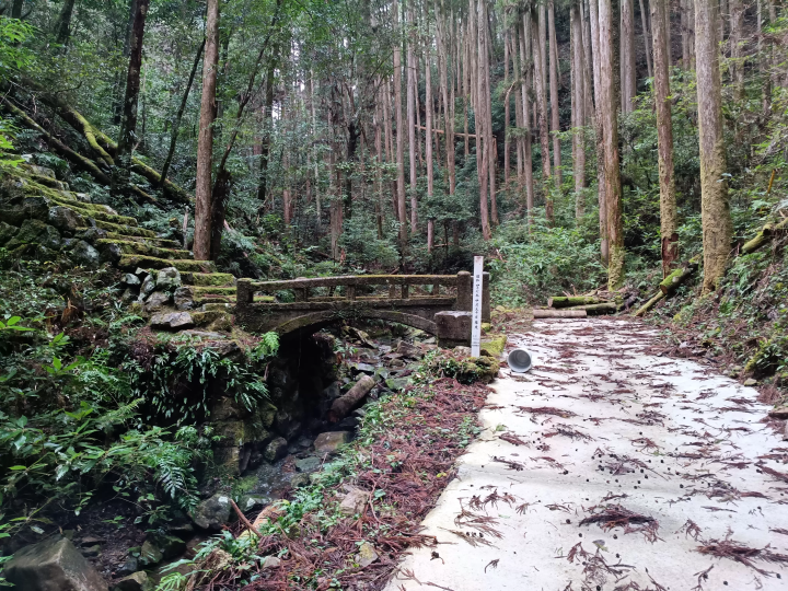[ Tosashimizu City, Kochi Prefecture ] How to get to Izu Shrine and important points to note