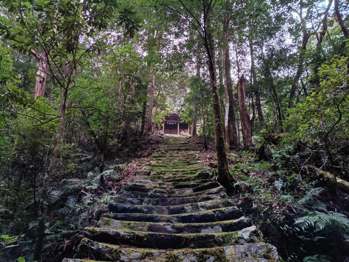 [ Tosashimizu City, Kochi Prefecture ] How to get to Izu Shrine and important points to note