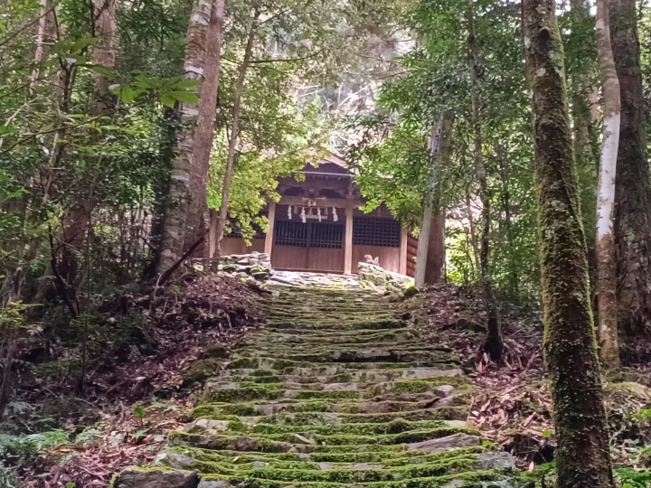 [ Tosashimizu City, Kochi Prefecture ] How to get to Izu Shrine and important points to note