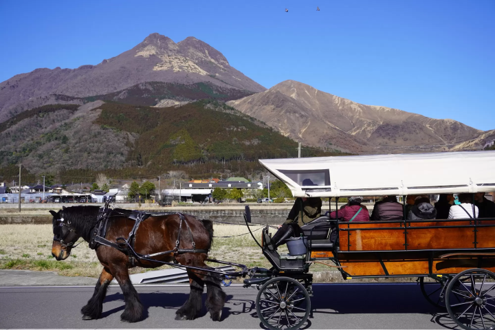 【ゆふいん】辻馬車や電動モビリティで巡る。街と自然を守るサステナブルな観光