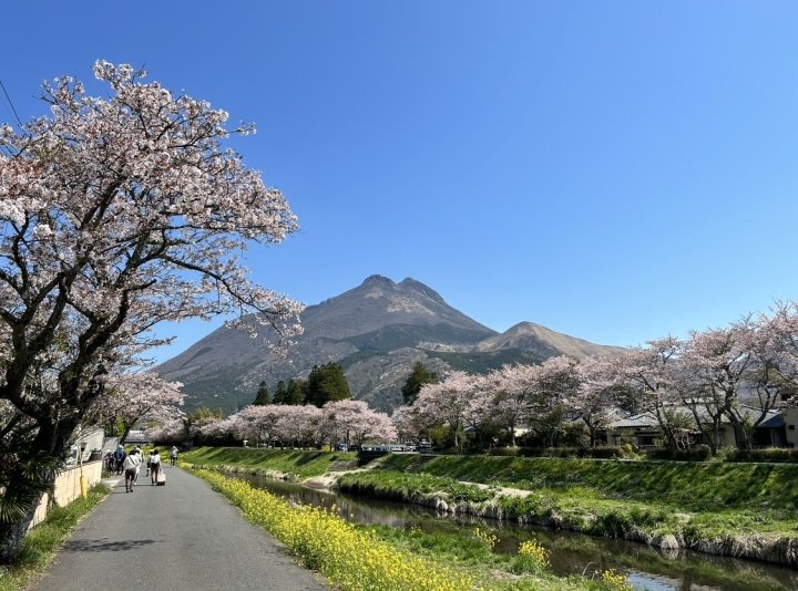 【ゆふいん】辻馬車や電動モビリティで巡る。街と自然を守るサステナブルな観光