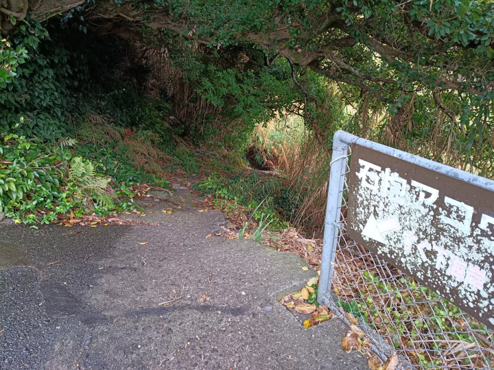 [ Tosashimizu City, Kochi Prefecture ] How to get to the stone-holding acou