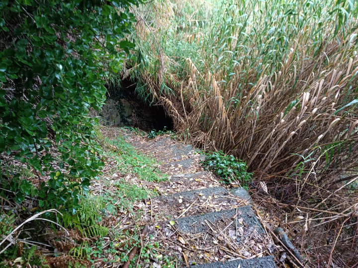 [ Tosashimizu City, Kochi Prefecture ] How to get to the stone-holding acou