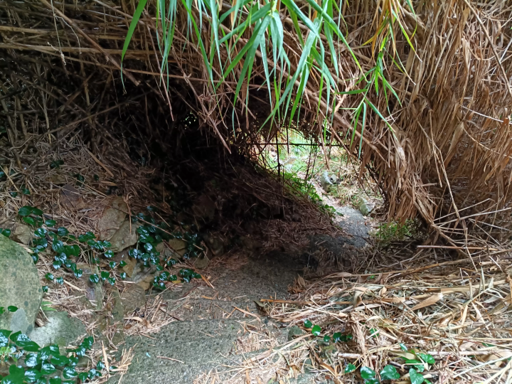 [ Tosashimizu City, Kochi Prefecture ] How to get to the stone-holding acou