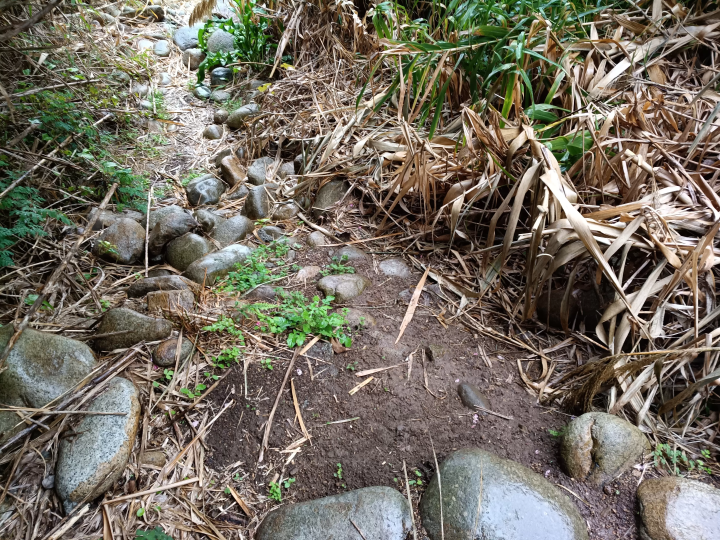 [ Tosashimizu City, Kochi Prefecture ] How to get to the stone-holding acou