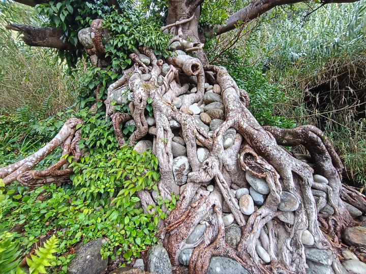 [ Tosashimizu City, Kochi Prefecture ] How to get to the stone-holding acou