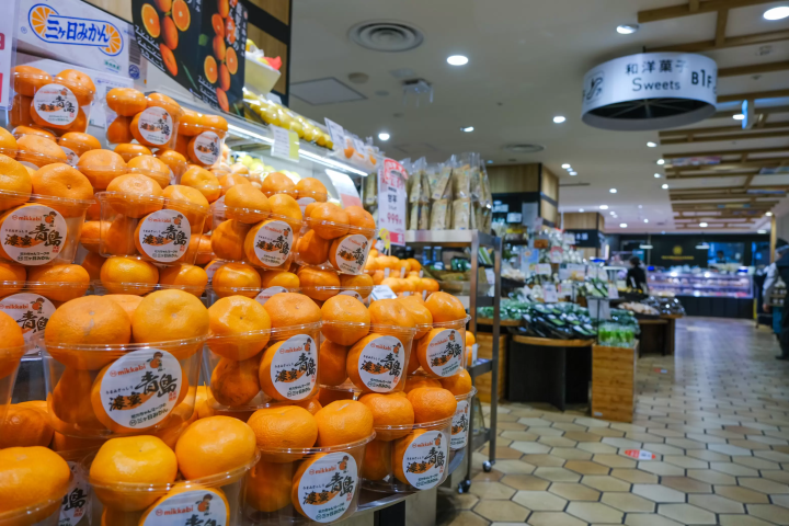 Shinjuku Shopping: BIC CAMERA Latest Goods & Odakyu Department Store Cosmetics and Gourmet Guide