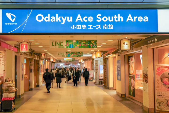 Shinjuku Picnic: 12 Best Takeout Foods at Odakyu Ace (Sweets & Bento)