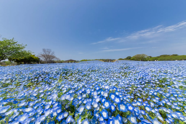 Photo courtesy of Fukuoka Prefecture Tourism Federation 