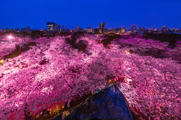 Photo courtesy of Fukuoka Prefecture Tourism Federation 