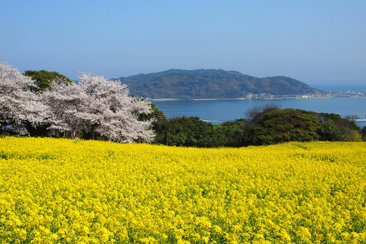 Photo courtesy of Fukuoka Prefecture Tourism Federation 