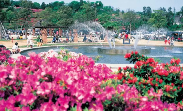 Photo courtesy of Nagasaki Prefecture Tourism Federation 