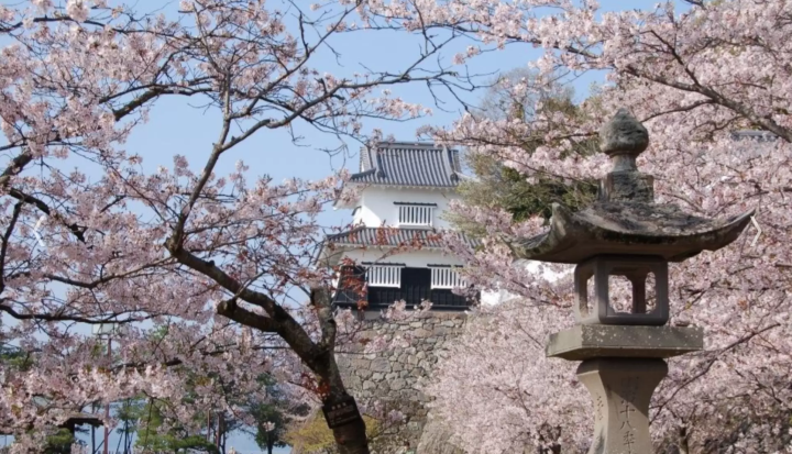 Photo courtesy of Nagasaki Prefecture Tourism Federation 
