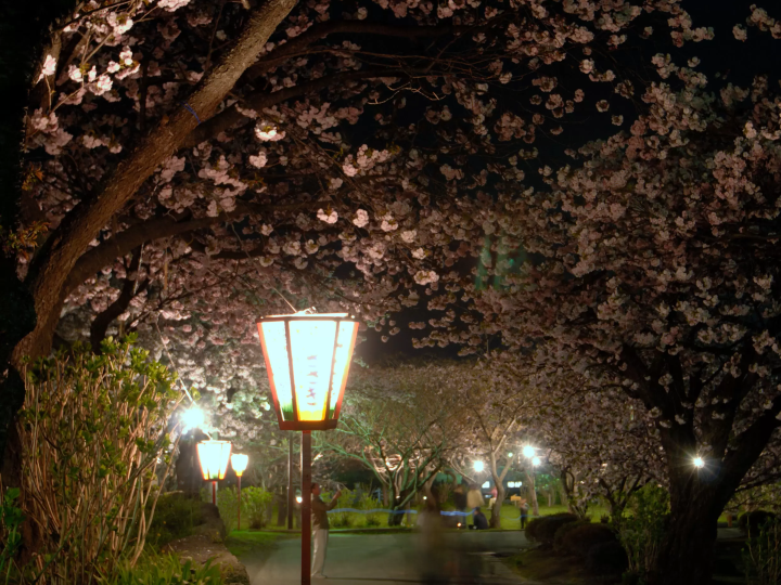 資料來源：北海道官方旅遊網站 