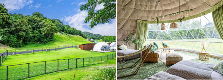 [2026년 업데이트] 시마 그린 어드벤처에서 가족, 친구와 함께 자연을 만끽하세요!