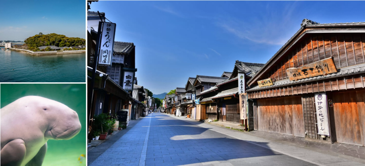 ホテルから近鉄電車を眺められる!伊勢パールピアホテルのトレインビュールーム