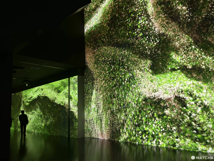 沉浸式體驗設施「WONDERIA 橫濱」