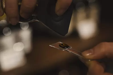 Kusakabe Miso Soy Sauce Brewing: Takayama Flavors for Home Cooking