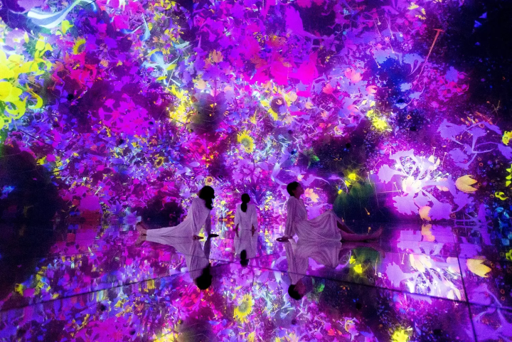 teamLab cherry blossom installation