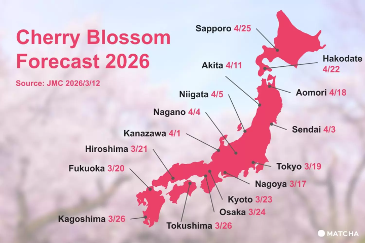cherry blossom forecast 2026