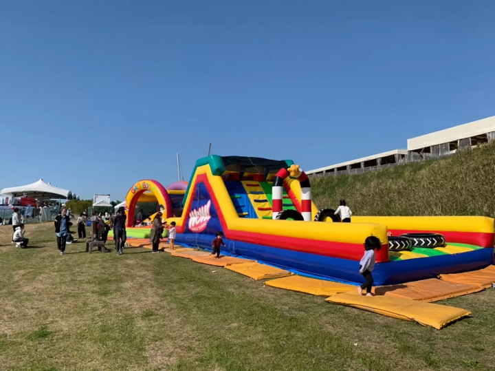  Osaka Nemophila Festival 2026
