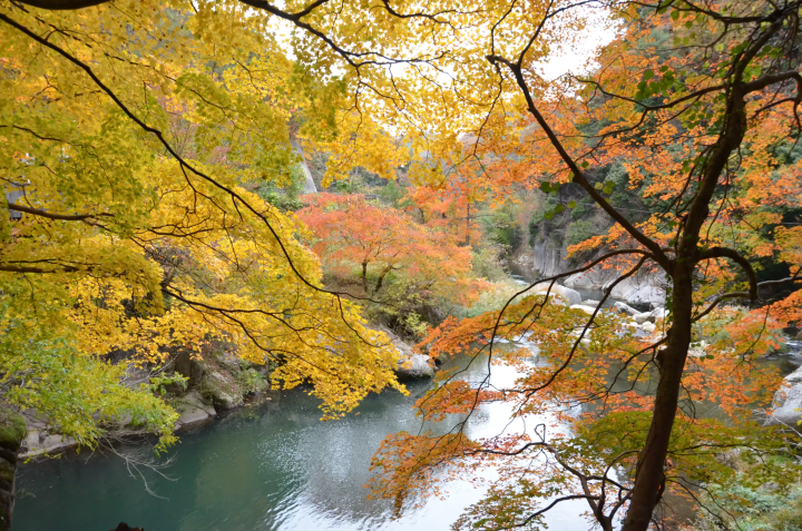 【鳥取】走入大山山麓與日野川上游區域，探訪山間自然風景