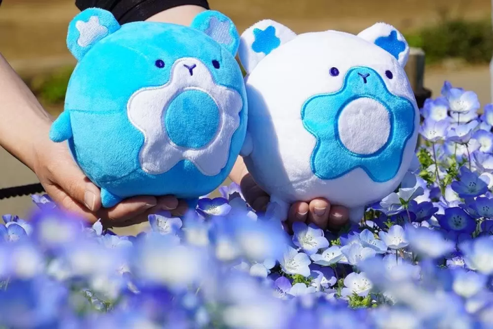 「粉蝶花藍」周邊商品