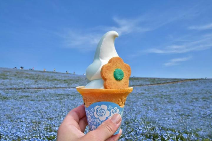 「粉蝶花藍」主題美食