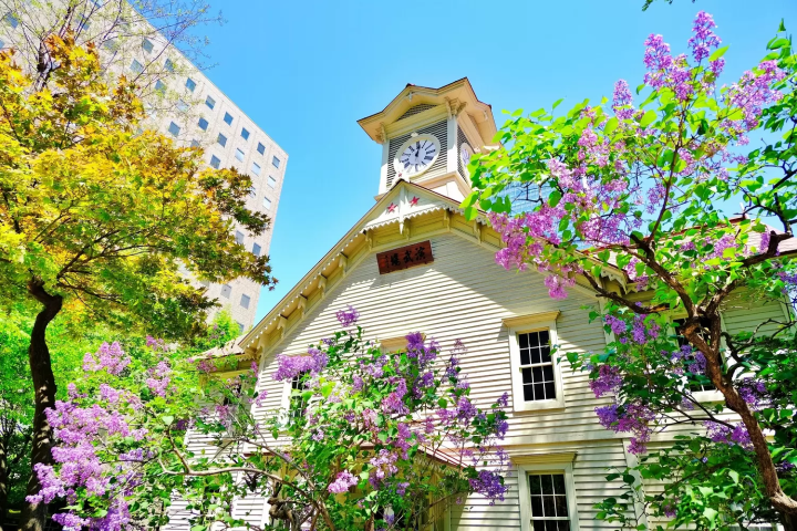 Sapporo de la Mañana a la Noche - Un Paraíso al Norte y un Centro Urbano