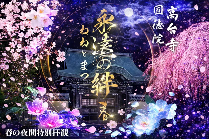 Kyoto: Kodai-ji Temple 2026 Spring Projection Mapping 