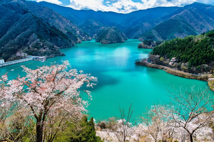 大自然环绕， 奥多摩地区的7大魅力