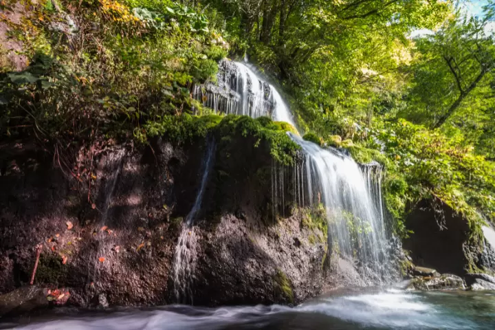 [2 hours from Tokyo ] 8 recommended trips to enjoy fermented and spiced cuisine in Hokuto City , Yamanashi Prefecture , a town known for its pristine water.
